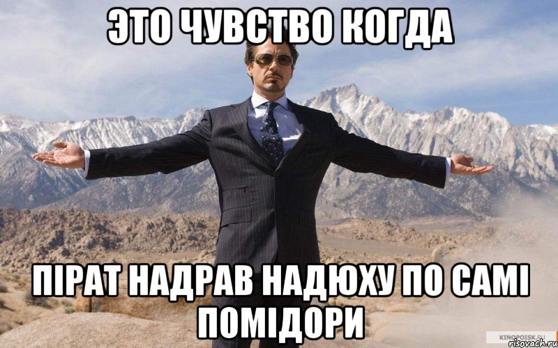 Это чувство когда Пірат надрав Надюху по самі помідори, Мем железный человек