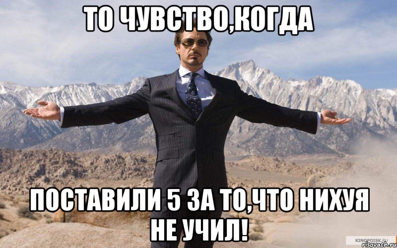 ТО чувство,когда поставили 5 за то,что нихуя не учил!, Мем железный человек