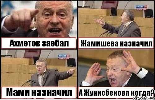 Ахметов заебал Жамишева назначил Мами назначил А Жунисбекова когда?, Комикс жиреновский