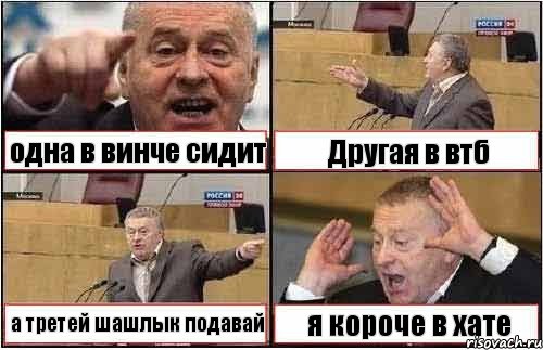 одна в винче сидит Другая в втб а третей шашлык подавай я короче в хате, Комикс жиреновский