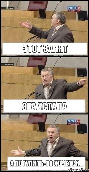 Этот занят эта устала а погулять-то хочется..., Комикс Жириновский разводит руками 3