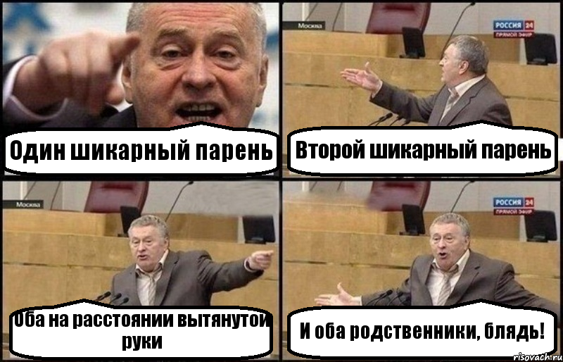 Один шикарный парень Второй шикарный парень Оба на расстоянии вытянутой руки И оба родственники, блядь!, Комикс Жириновский