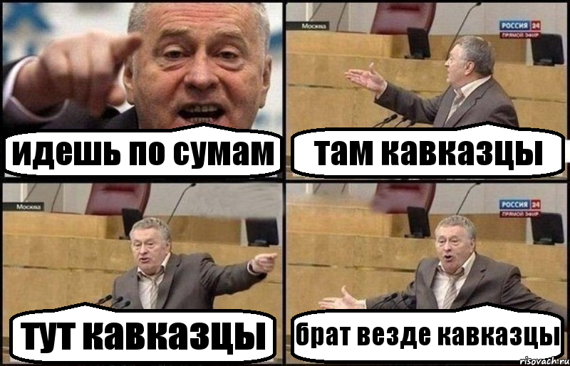 идешь по сумам там кавказцы тут кавказцы брат везде кавказцы, Комикс Жириновский