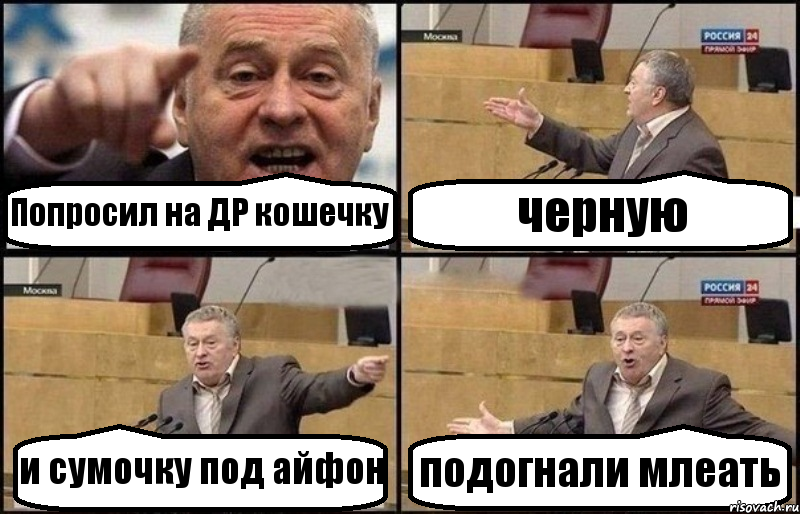 Попросил на ДР кошечку черную и сумочку под айфон подогнали млеать, Комикс Жириновский