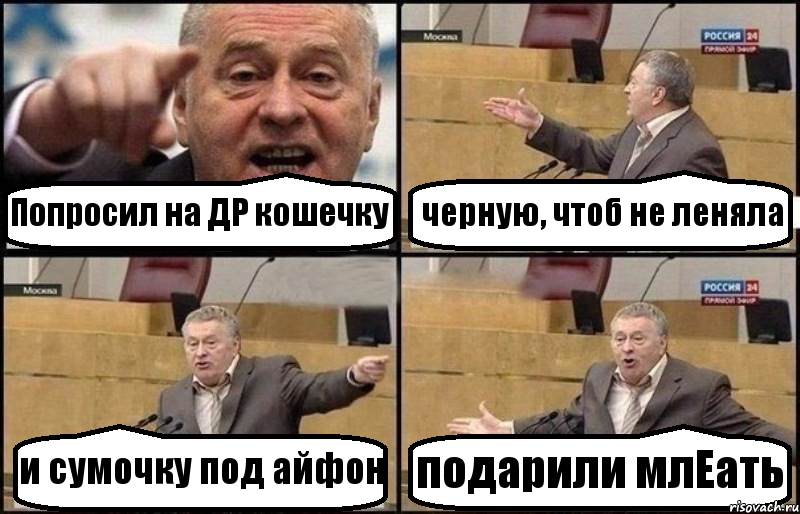 Попросил на ДР кошечку черную, чтоб не леняла и сумочку под айфон подарили млЕать, Комикс Жириновский