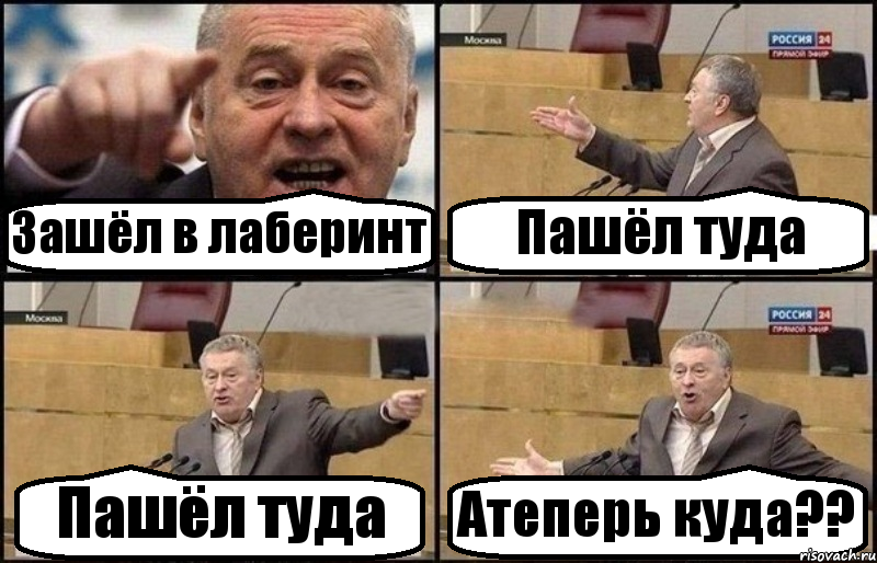 Зашёл в лаберинт Пашёл туда Пашёл туда Атеперь куда??, Комикс Жириновский