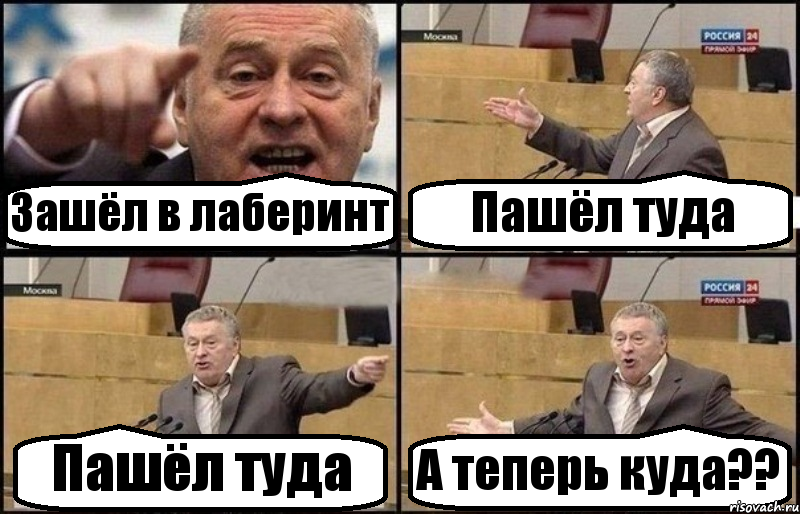 Зашёл в лаберинт Пашёл туда Пашёл туда А теперь куда??, Комикс Жириновский