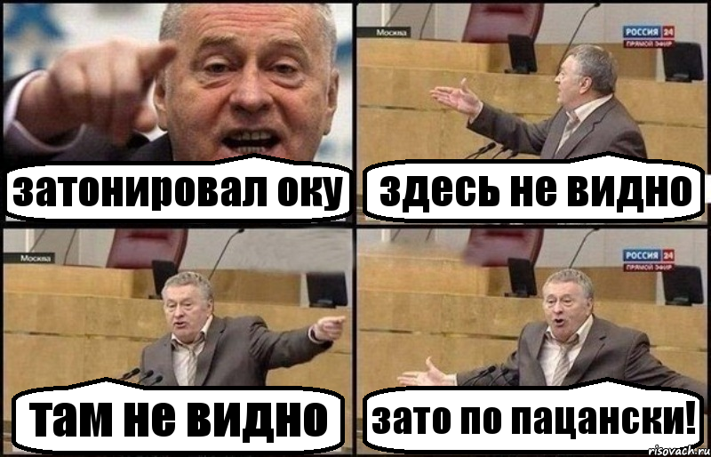 затонировал оку здесь не видно там не видно зато по пацански!, Комикс Жириновский