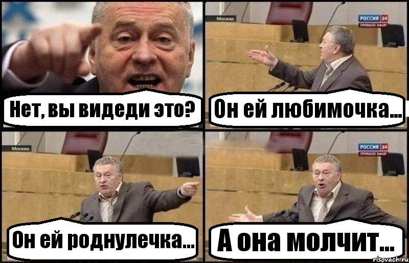 Нет, вы видеди это? Он ей любимочка... Он ей роднулечка... А она молчит..., Комикс Жириновский