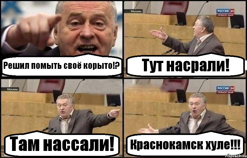 Решил помыть своё корыто!? Тут насрали! Там нассали! Краснокамск хуле!!!, Комикс Жириновский