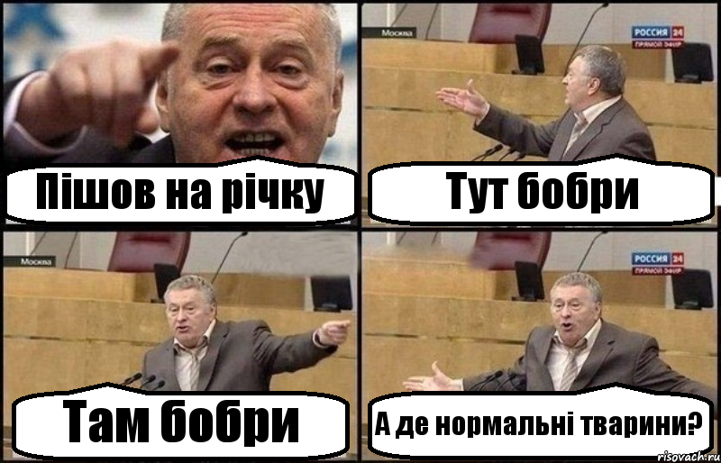 Пішов на річку Тут бобри Там бобри А де нормальні тварини?, Комикс Жириновский