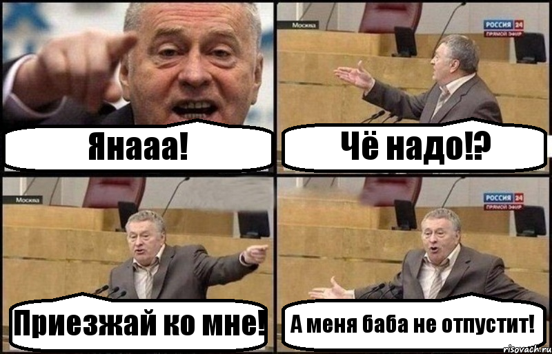 Янааа! Чё надо!? Приезжай ко мне! А меня баба не отпустит!, Комикс Жириновский