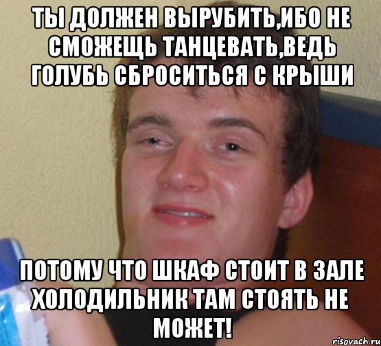 Ты должен вырубить,ибо не сможещь танцевать,ведь голубь сброситься с крыши Потому что шкаф стоит в зале холодильник там стоять не может!, Мем 10 guy (Stoner Stanley really high guy укуренный парень)