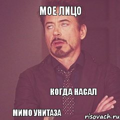 Мое лицо   Когда насал   мимо унитаза, Комикс мое лицо