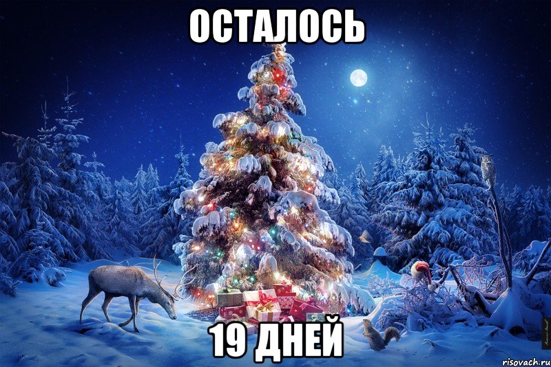 осталось 19 дней, Мем  123