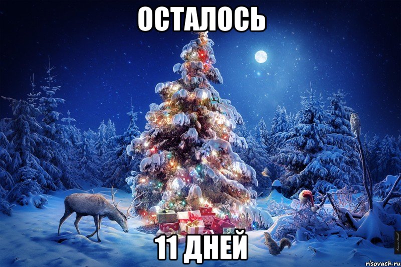 осталось 11 дней, Мем  123