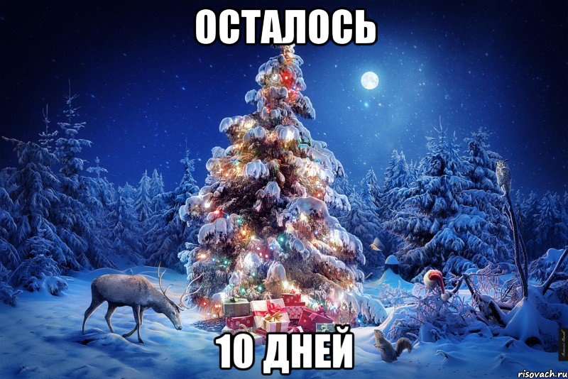 осталось 10 дней, Мем  123