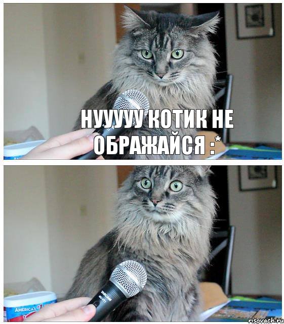 нууууу котик не ображайся :*, Комикс  кот с микрофоном