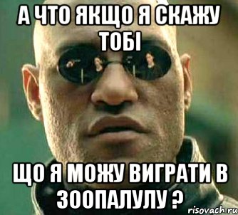 А что якщо я скажу тобі що я можу виграти в Зоопалулу ?, Мем  а что если я скажу тебе