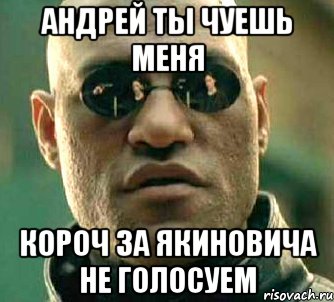 Андрей ты чуешь меня короч за якиновича не голосуем, Мем  а что если я скажу тебе