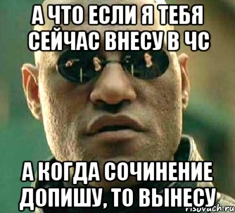 А что если я тебя сейчас внесу в чс а когда сочинение допишу, то вынесу, Мем  а что если я скажу тебе