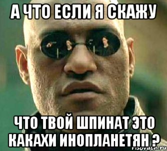 А что если я скажу Что твой шпинат это какахи инопланетян ?, Мем  а что если я скажу тебе