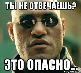 Ты не отвечаешь? Это опасно..., Мем  а что если я скажу тебе