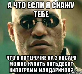 а что если я скажу тебе что в пятерочке на 2 косаря можно купить ПЯТЬДЕСЯТ КИЛОГРАММ МАНДАРИНОВ?, Мем  а что если я скажу тебе