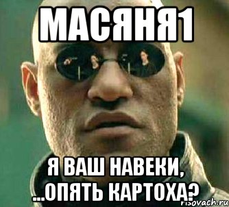 МАСЯНЯ1 Я ваш навеки, ...опять картоха?, Мем  а что если я скажу тебе