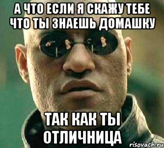 А что если я скажу тебе что ты знаешь домашку Так как ты отличница, Мем  а что если я скажу тебе