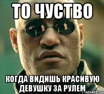 ТО ЧУСТВО КОГДА ВИДИШЬ КРАСИВУЮ ДЕВУШКУ ЗА РУЛЕМ, Мем  а что если я скажу тебе