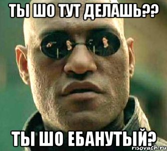 ТЫ ШО ТУТ ДЕЛАШЬ?? ТЫ ШО ЕБАНУТЫЙ?