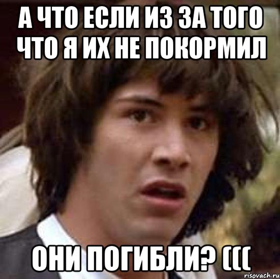 А что если из за того что я их не покормил ОНИ ПОГИБЛИ? (((, Мем А что если (Киану Ривз)