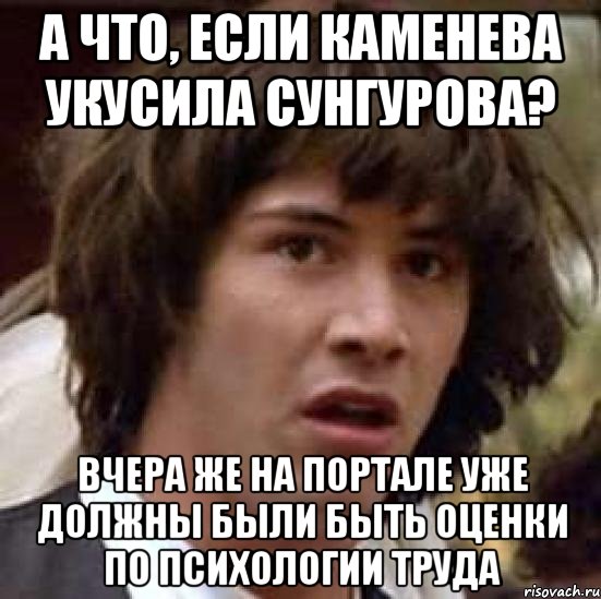 А что, если Каменева укусила Сунгурова? Вчера же на портале уже должны были быть оценки по психологии труда, Мем А что если (Киану Ривз)