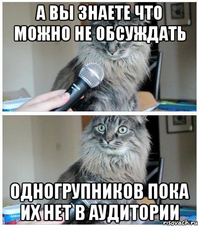 А ВЫ ЗНАЕТЕ ЧТО МОЖНО НЕ ОБСУЖДАТЬ ОДНОГРУПНИКОВ ПОКА ИХ НЕТ В АУДИТОРИИ, Комикс  кот с микрофоном