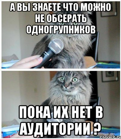 А ВЫ ЗНАЕТЕ ЧТО МОЖНО НЕ ОБСЕРАТЬ ОДНОГРУПНИКОВ ПОКА ИХ НЕТ В АУДИТОРИИ ?, Комикс  кот с микрофоном