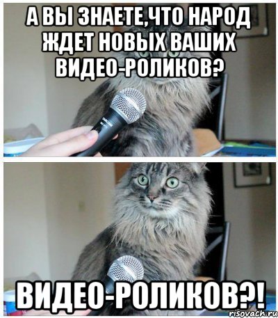 а вы знаете,что народ ждет новых ваших видео-роликов? ВИДЕО-РОЛИКОВ?!, Комикс  кот с микрофоном