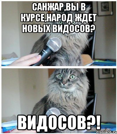 Санжар,вы в курсе,народ ждет новых видосов? ВИДОСОВ?!, Комикс  кот с микрофоном