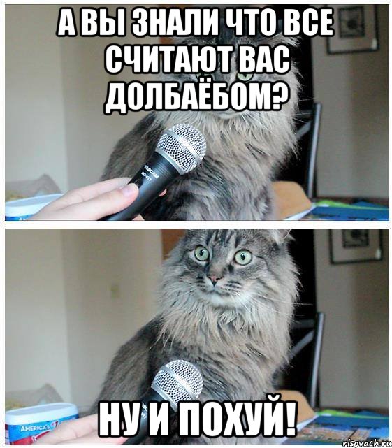 А вы знали что все считают вас долбаёбом? ну и похуй!, Комикс  кот с микрофоном