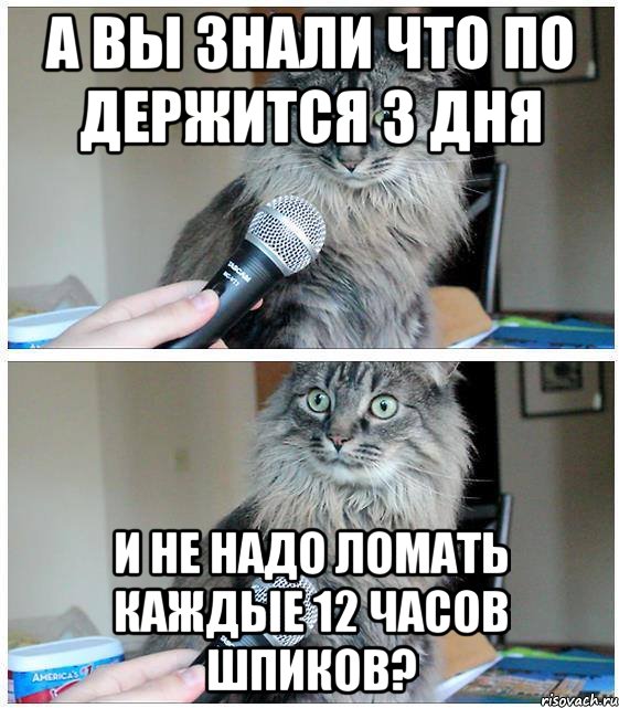 а вы знали что ПО держится 3 дня и не надо ломать каждые 12 часов шпиков?, Комикс  кот с микрофоном