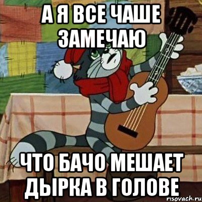 А я все чаше замечаю что бачо мешает дырка в голове, Мем Кот Матроскин с гитарой