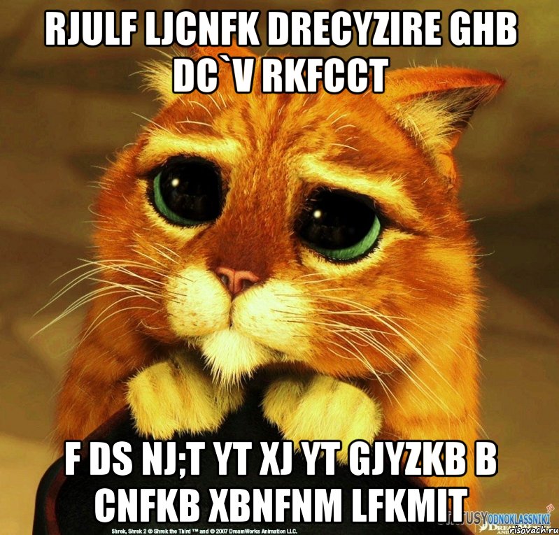 rjulf ljcnfk drecyzire ghb dc`v rkfcct f ds nj;t yt xj yt gjyzkb b cnfkb xbnfnm lfkmit, Мем Котик из Шрека