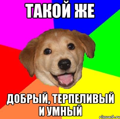 Такой же Добрый, Терпеливый и Умный, Мем Advice Dog