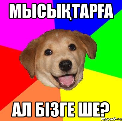 МЫСЫҚТАРҒА АЛ БІЗГЕ ШЕ?, Мем Advice Dog