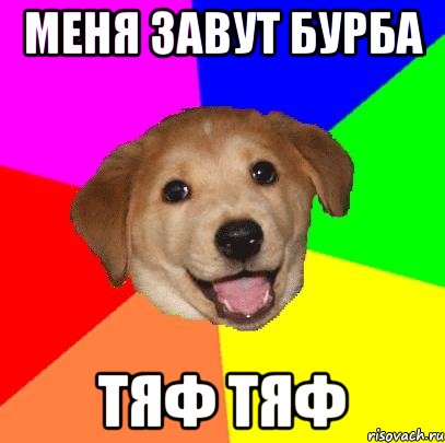 МЕНЯ ЗАВУТ БУРБА ТЯФ ТЯФ, Мем Advice Dog