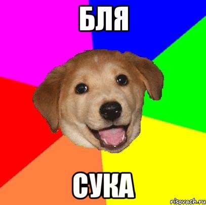 бля сука, Мем Advice Dog