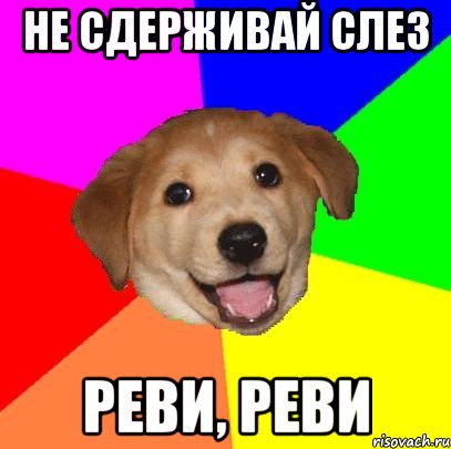 НЕ СДЕРЖИВАЙ СЛЕЗ РЕВИ, РЕВИ, Мем Advice Dog