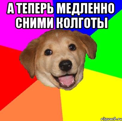 А теперь медленно сними колготы , Мем Advice Dog