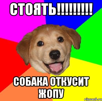 стоять!!!!!!!!! собака откусит жопу, Мем Advice Dog