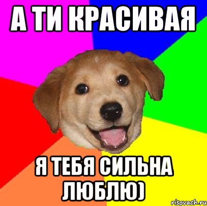 А ти красивая Я тебя сильна люблю), Мем Advice Dog